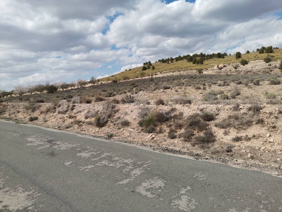 Helårsgrund i Caudete, Albacete - foto 2